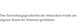 Der Entstehungsgeschichte des Menschen wurde ein eigener Raum im Museum gewidmet.