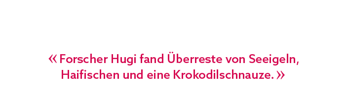 « Forscher Hugi fand berreste von Seeigeln, Haifischen und eine Krokodilschnauze. »