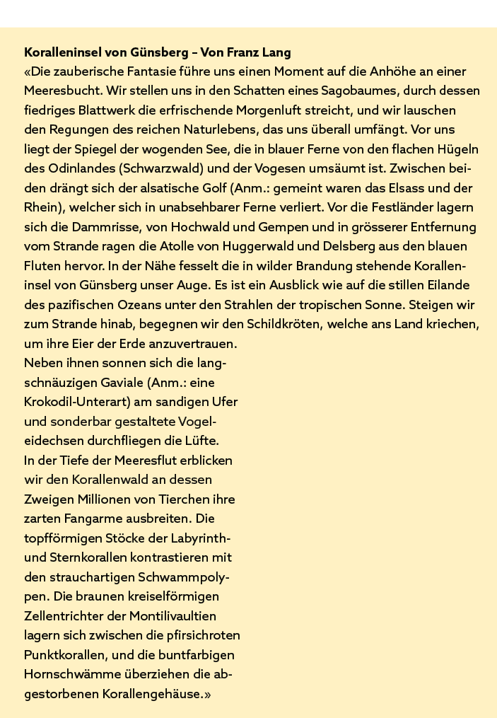 Koralleninsel von G nsberg – Von Franz Lang «Die zauberische Fantasie f hre uns einen Moment auf die Anh he an einer ...