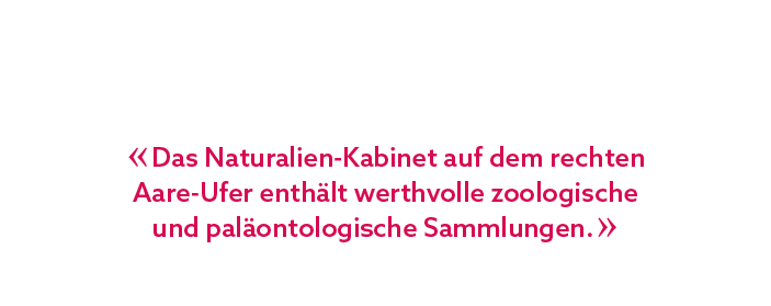 « Das Naturalien Kabinet auf dem rechten Aare Ufer enth lt werthvolle zoologische und pal ontologische Sammlungen. »