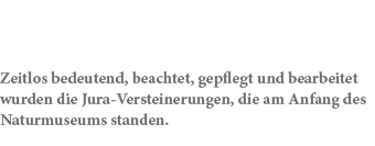 Zeitlos bedeutend, beachtet, gepflegt und bearbeitet wurden die Jura Versteinerungen, die am Anfang des Naturmuseums ...