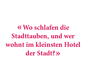 « Wo schlafen die Stadttauben, und wer wohnt im kleinsten Hotel der Stadt? »