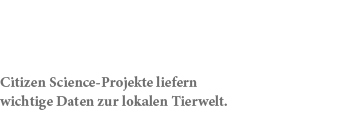 Citizen Science Projekte liefern wichtige Daten zur lokalen Tierwelt.