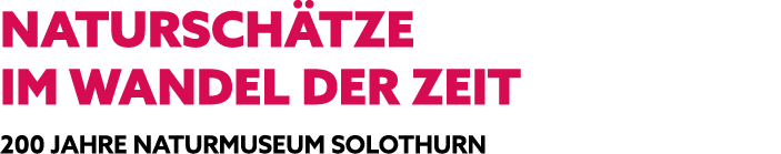 NATURSCH TZE IM WANDEL DER ZEIT 200 JAHRE NATURMUSEUM SOLOTHURN