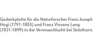 Gedenkplatte f r die Naturforscher Franz Joseph Hugi (1791–1855) und Franz Vinzenz Lang (1821–1899) in der Verenaschl...