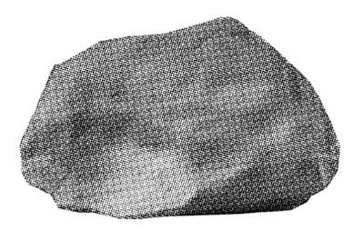 Polygon