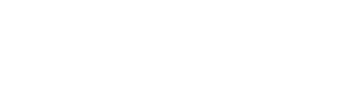HISTORISCHER STEINWURF #06