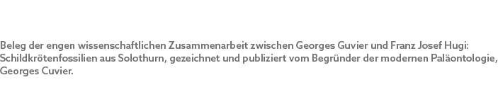 Beleg der engen wissenschaftlichen Zusammenarbeit zwischen Georges Guvier und Franz Josef Hugi: Schildkr tenfossilien...