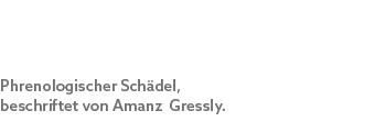 Phrenologischer Sch del, beschriftet von Amanz Gressly.