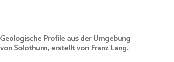 Geologische Profile aus der Umgebung von Solothurn, erstellt von Franz Lang.