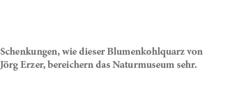 Schenkungen, wie dieser Blumenkohlquarz von J rg Erzer, bereichern das Naturmuseum sehr.