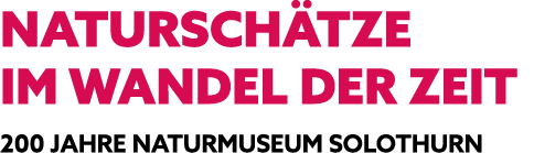 NATURSCH TZE IM WANDEL DER ZEIT 200 JAHRE NATURMUSEUM SOLOTHURN