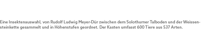 Eine Insektenauswahl, von Rudolf Ludwig Meyer D r zwischen dem Solothurner Talboden und der Weissen­steinkette gesamm...