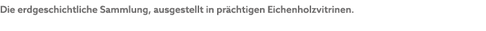 Die erdgeschichtliche Sammlung, ausgestellt in pr chtigen Eichenholzvitrinen.