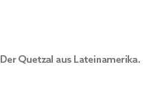 Der Quetzal aus Lateinamerika.