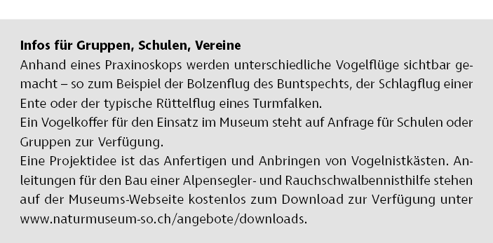 Infos f r Gruppen, Schulen, Vereine Anhand eines Praxinoskops werden unterschiedliche Vogelfl ge sichtbar gemacht – s...