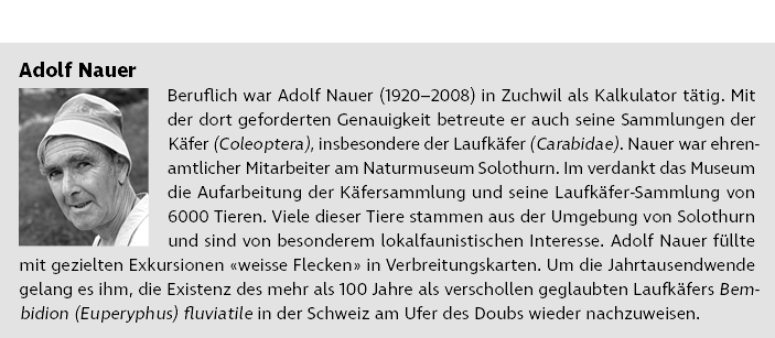Adolf Nauer ￼Beruflich war Adolf Nauer (1920–2008) in Zuchwil als Kalkulator t tig. Mit der dort geforderten Genauigk...