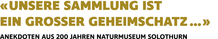 «UNSERE SAMMLUNG IST EIN GROSSER GEHEIMSCHATZ …» ANEKDOTEN AUS 200 JAHREN NATURMUSEUM SOLOTHURN
